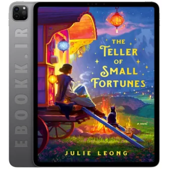 دانلود کتاب The Teller of Small Fortunes 2024 به زبان انگلیسی