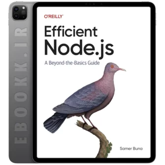 دانلود کتاب Efficient Node.js 2025 به زبان انگلیسی