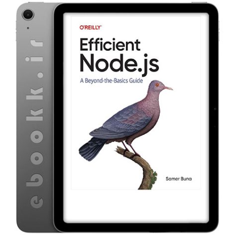 دانلود کتاب Efficient Node.js 2025 به زبان انگلیسی