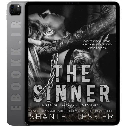 دانلود کتاب The Sinner 2022 5 دانلود کتاب The Sinner 2022 به زبان انگلیسی